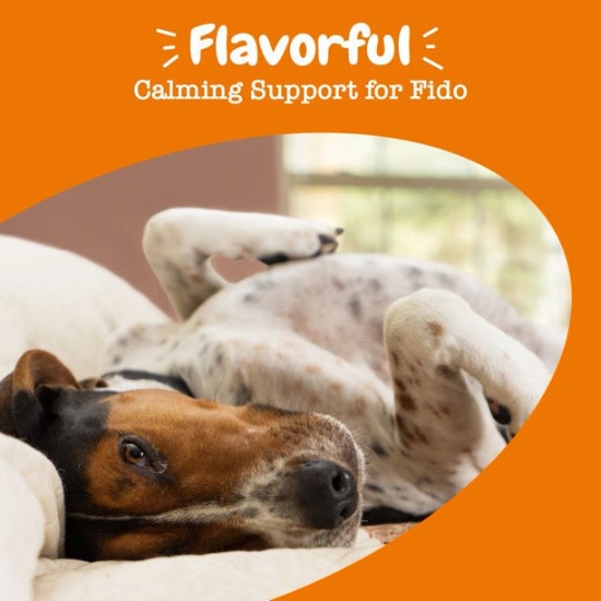 Ảnh của Thức ăn cho chó Zesty Paws Calming Flavor Infusions™, 16 fl oz
