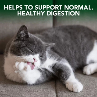 Picture of Thực phẩm bổ sung hỗ trợ tiêu hóa giảm rụng lông cho mèo của Vet's Best, 60 Viên nén nhai