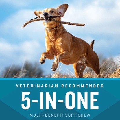 Ảnh của Viên nhai mềm bổ sung đa lợi 5 trong một VETIQ cho chó, 60 viên, 9,5 oz