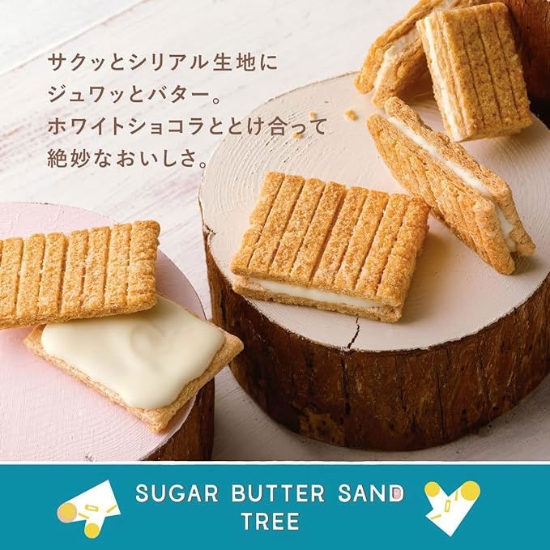 Ảnh của Sugar butter sand tree - Cây bánh quy bơ đường