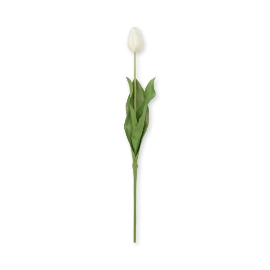 Ảnh của Sophie Allport - Hoa Tulip nhân tạo - Trắng (mua theo cành)